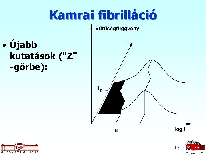 Kamrai fibrilláció • Újabb kutatások ("Z" -görbe): 17 