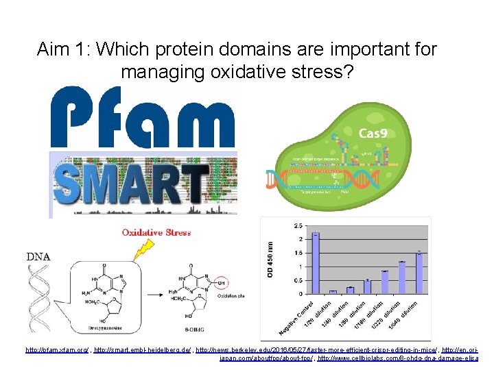 Aim 1: Which protein domains are important for managing oxidative stress? http: //pfam. xfam. Aim 1: Which protein domains are important for managing oxidative stress? http: //pfam. xfam.