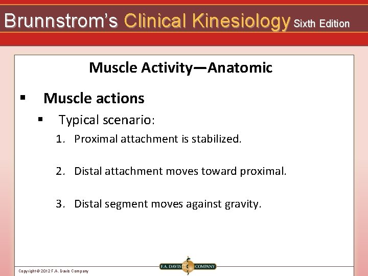 Brunnstrom’s Clinical Kinesiology Sixth Edition Muscle Activity—Anatomic § Muscle actions § Typical scenario: 1.