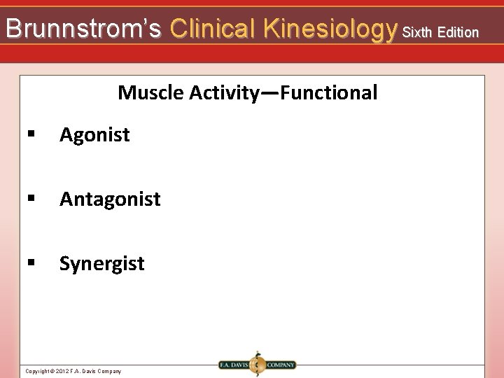 Brunnstrom’s Clinical Kinesiology Sixth Edition Muscle Activity—Functional § Agonist § Antagonist § Synergist Copyright