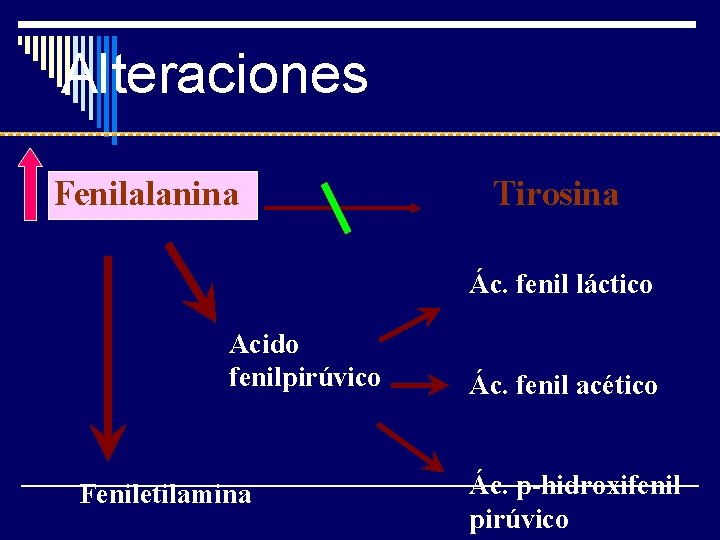 Alteraciones Fenilalanina Tirosina Ác. fenil láctico Acido fenilpirúvico Feniletilamina Ác. fenil acético Ác. p-hidroxifenil