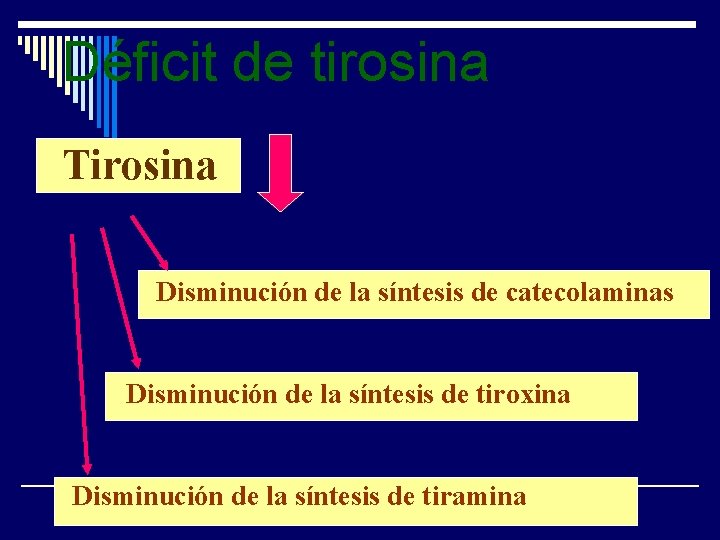 Déficit de tirosina Tirosina Disminución de la síntesis de catecolaminas Disminución de la síntesis
