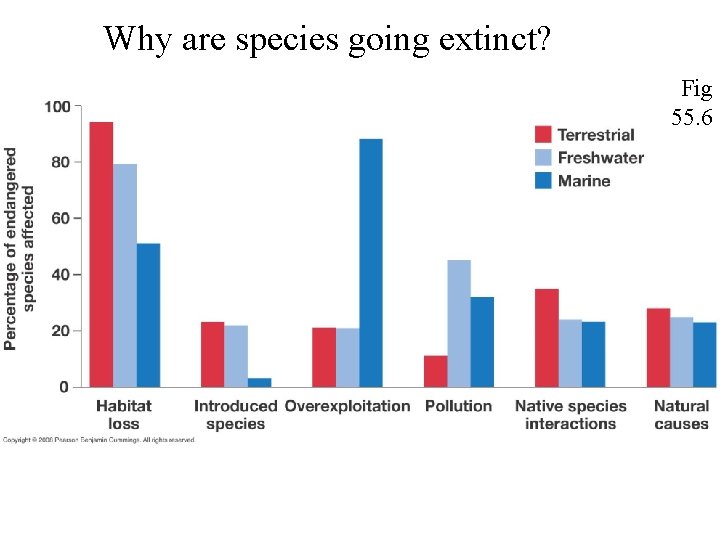 Why are species going extinct? Fig 55. 6 