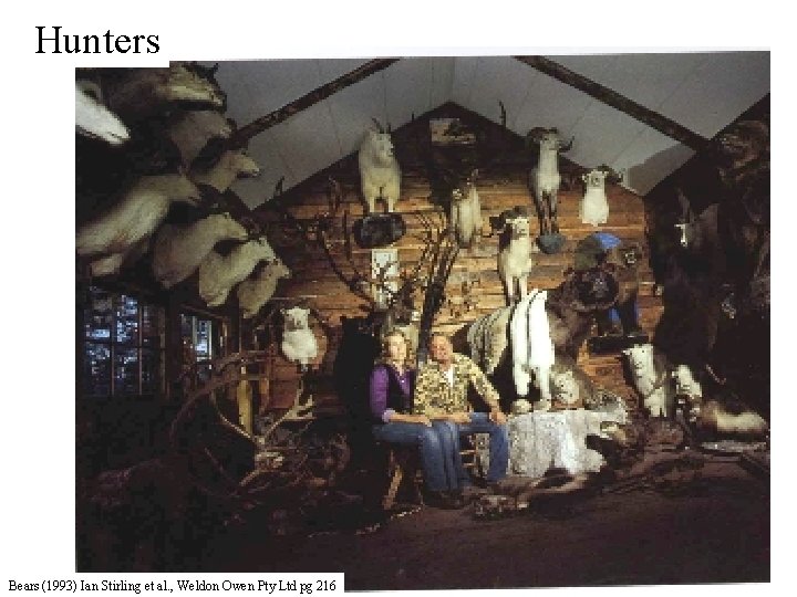 Hunters Bears (1993) Ian Stirling et al. , Weldon Owen Pty Ltd pg 216