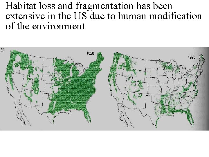 Habitat loss and fragmentation has been extensive in the US due to human modification