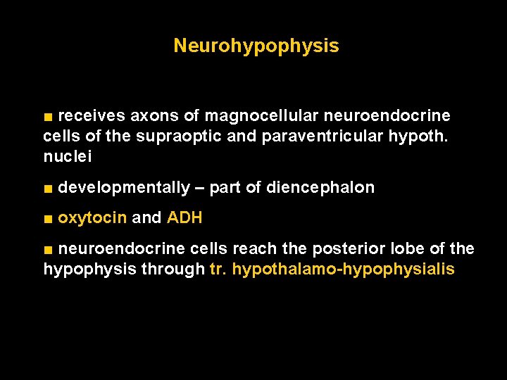 Neurohypophysis ■ receives axons of magnocellular neuroendocrine cells of the supraoptic and paraventricular hypoth.
