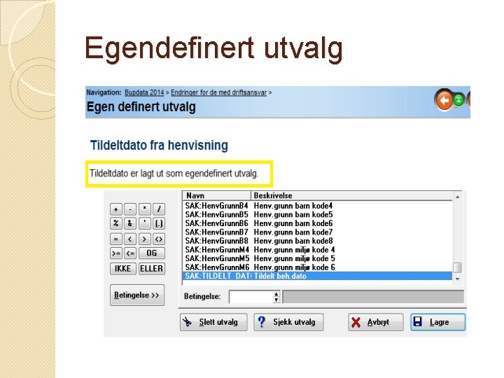 Egendefinert utvalg 