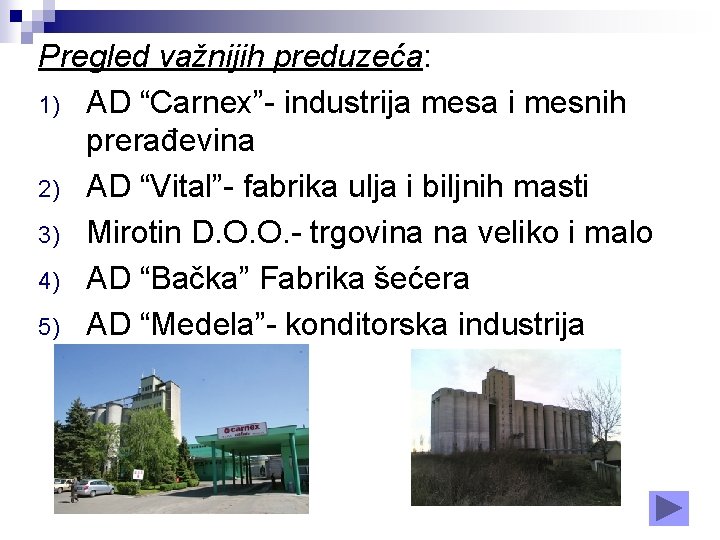 Pregled važnijih preduzeća: 1) AD “Carnex”- industrija mesa i mesnih prerađevina 2) AD “Vital”-