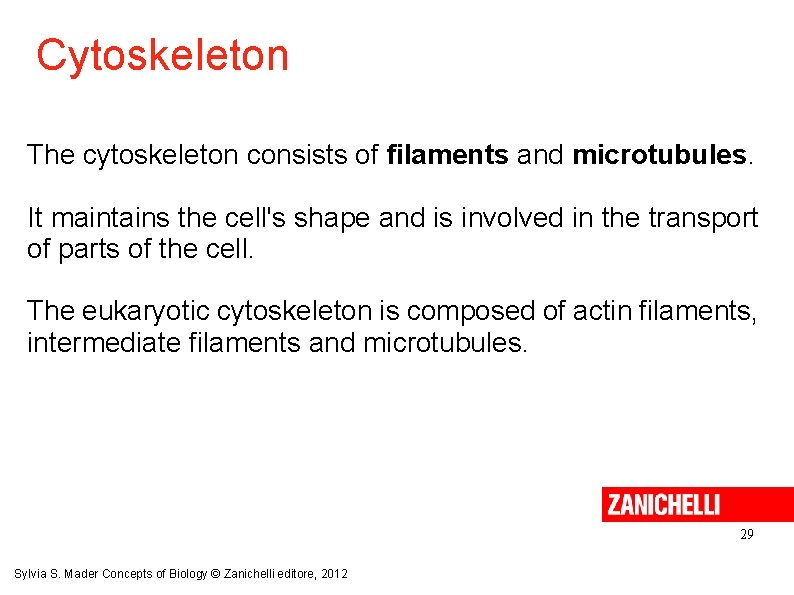 Cytoskeleton The cytoskeleton consists of filaments and microtubules. It maintains the cell's shape and