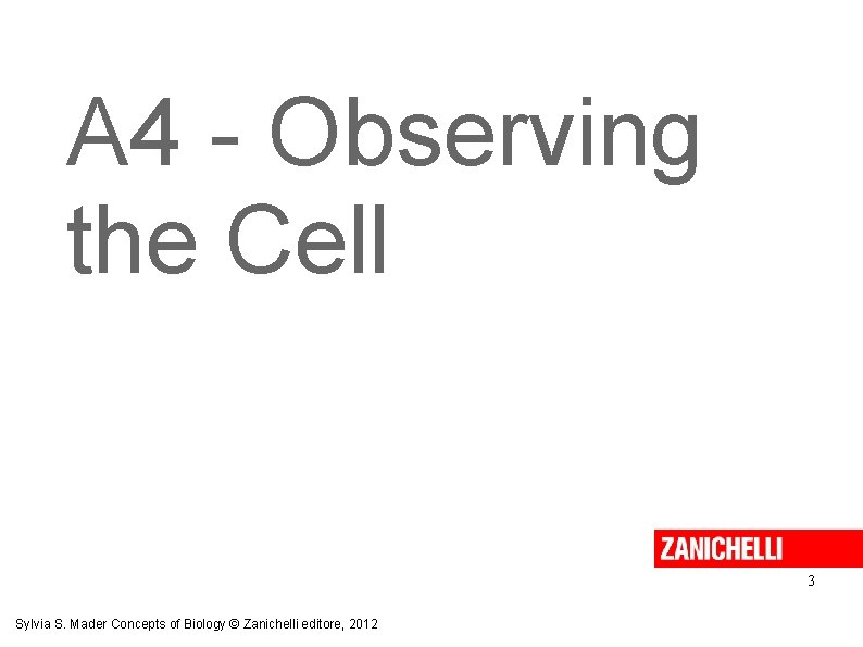 A 4 - Observing the Cell 3 Sylvia S. Mader Concepts of Biology ©