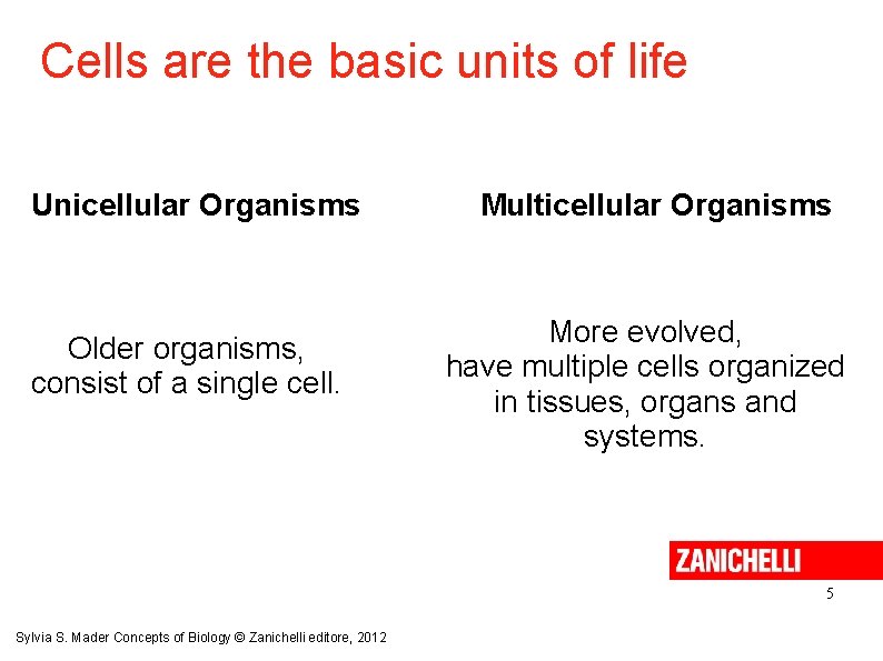 Cells are the basic units of life Unicellular Organisms Older organisms, consist of a