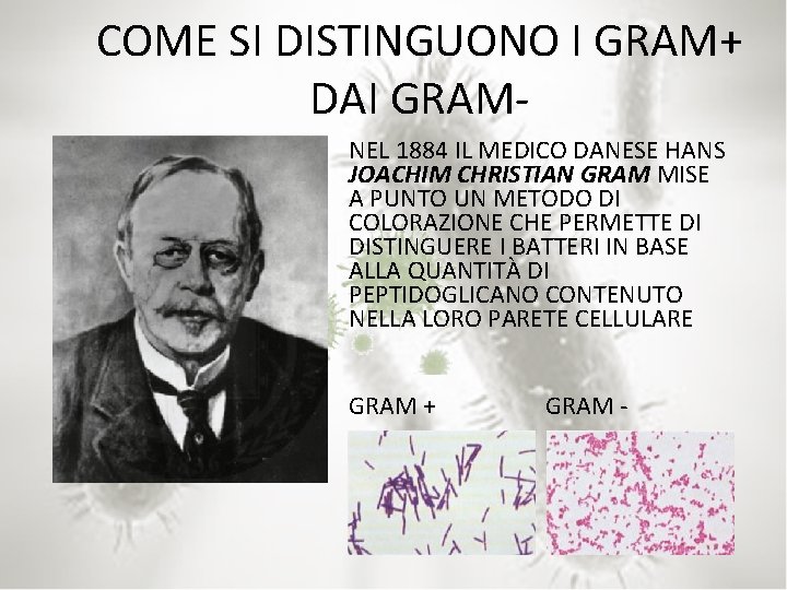 COME SI DISTINGUONO I GRAM+ DAI GRAMNEL 1884 IL MEDICO DANESE HANS JOACHIM CHRISTIAN