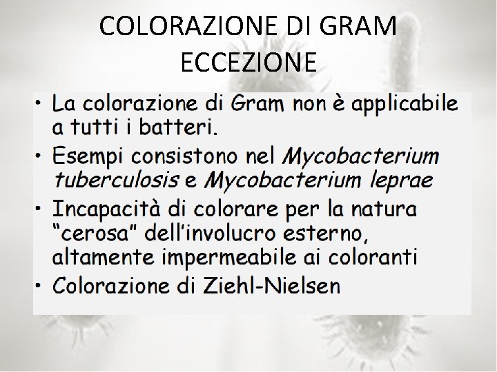 COLORAZIONE DI GRAM ECCEZIONE 