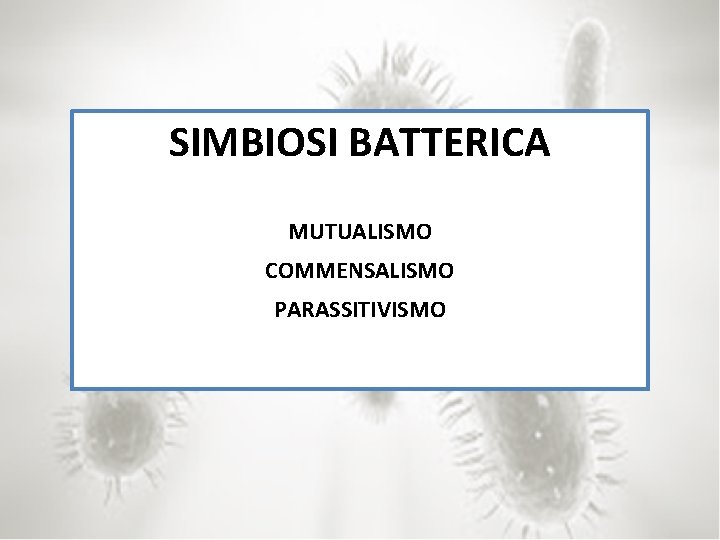 SIMBIOSI BATTERICA MUTUALISMO COMMENSALISMO PARASSITIVISMO 