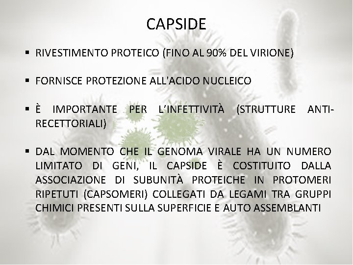 CAPSIDE § RIVESTIMENTO PROTEICO (FINO AL 90% DEL VIRIONE) § FORNISCE PROTEZIONE ALL'ACIDO NUCLEICO