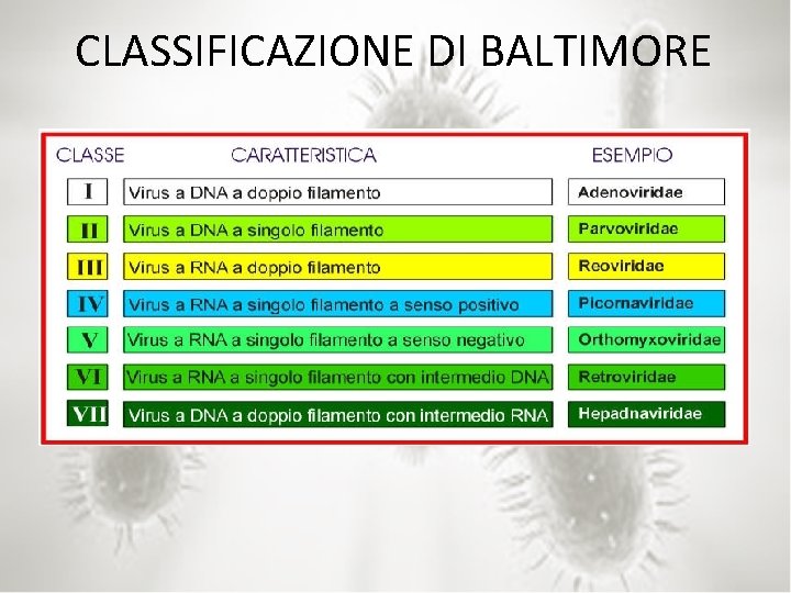 CLASSIFICAZIONE DI BALTIMORE 