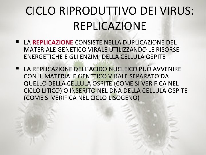 CICLO RIPRODUTTIVO DEI VIRUS: REPLICAZIONE § LA REPLICAZIONE CONSISTE NELLA DUPLICAZIONE DEL MATERIALE GENETICO
