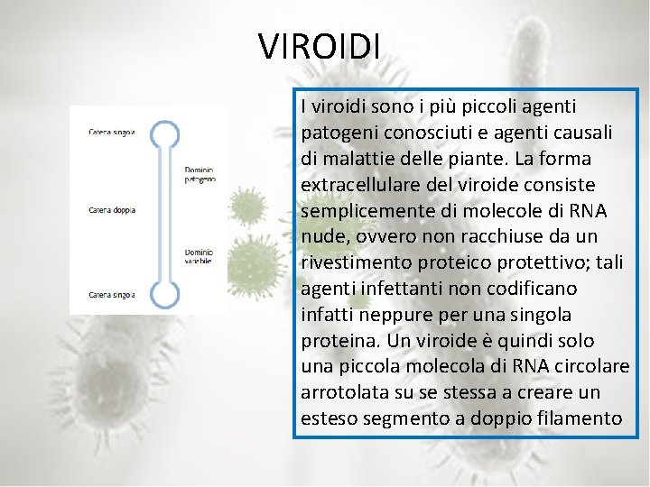 VIROIDI I viroidi sono i più piccoli agenti patogeni conosciuti e agenti causali di