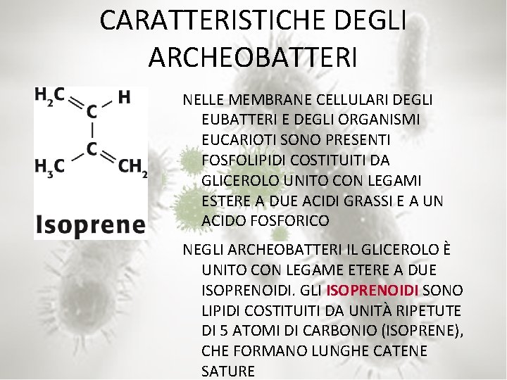 CARATTERISTICHE DEGLI ARCHEOBATTERI NELLE MEMBRANE CELLULARI DEGLI EUBATTERI E DEGLI ORGANISMI EUCARIOTI SONO PRESENTI