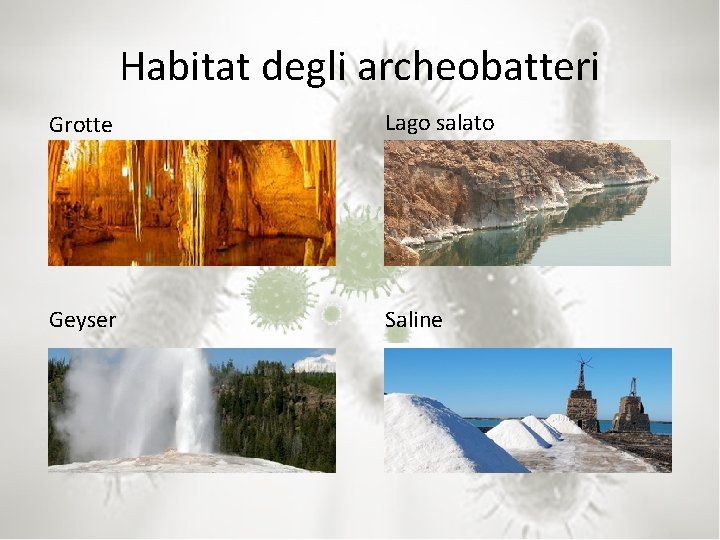 Habitat degli archeobatteri Grotte Lago salato Geyser Saline 