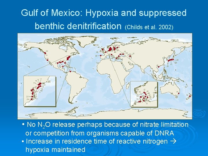 Gulf of Mexico: Hypoxia and suppressed benthic denitrification (Childs et al. 2002) • No