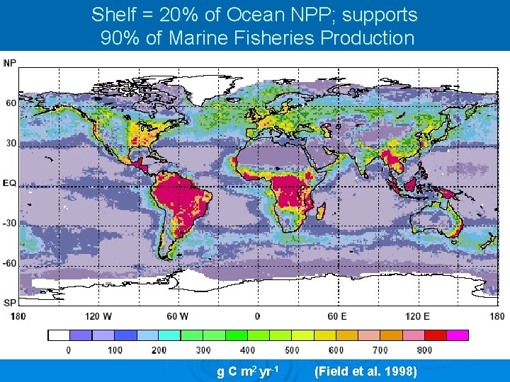 Shelf = 20% of Ocean NPP; supports 90% of Marine Fisheries Production g C