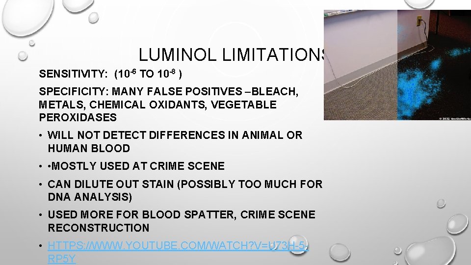 LUMINOL LIMITATIONS SENSITIVITY: (10 -6 TO 10 -8 ) SPECIFICITY: MANY FALSE POSITIVES –BLEACH,