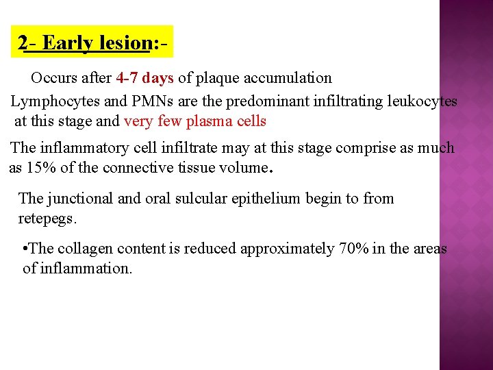 2 - Early lesion: Occurs after 4 -7 days of plaque accumulation Lymphocytes and