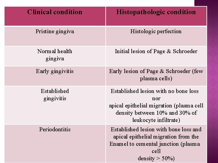 Clinical condition Histopathologic condition Pristine gingiva Histologic perfection Normal health gingiva Initial lesion of