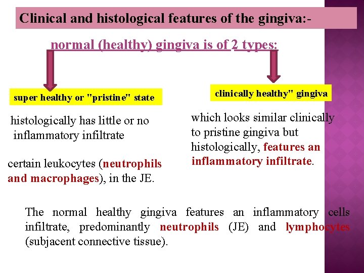Clinical and histological features of the gingiva: normal (healthy) gingiva is of 2 types: