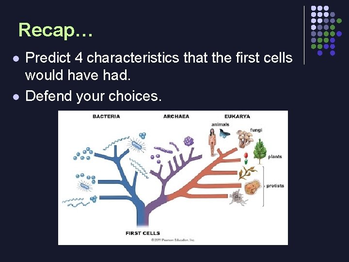 Recap… l l Predict 4 characteristics that the first cells would have had. Defend