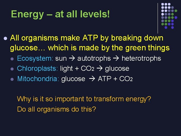 Energy – at all levels! l All organisms make ATP by breaking down glucose…