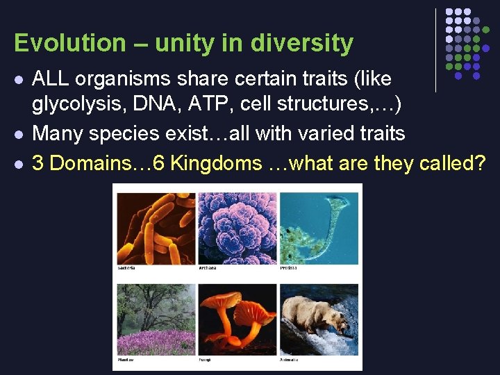 Evolution – unity in diversity l l l ALL organisms share certain traits (like