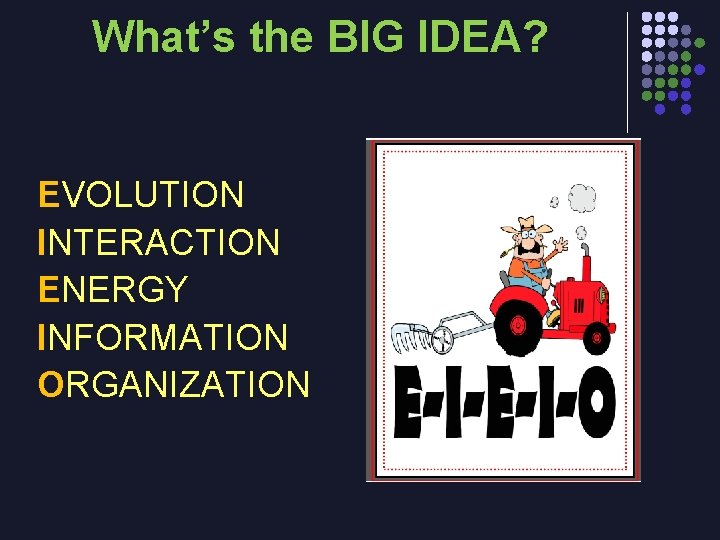 What’s the BIG IDEA? EVOLUTION INTERACTION ENERGY INFORMATION ORGANIZATION 