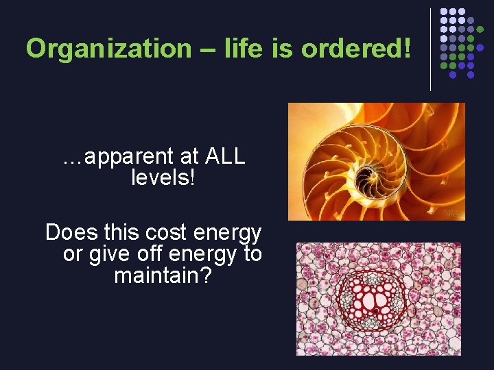 Organization – life is ordered! …apparent at ALL levels! Does this cost energy or