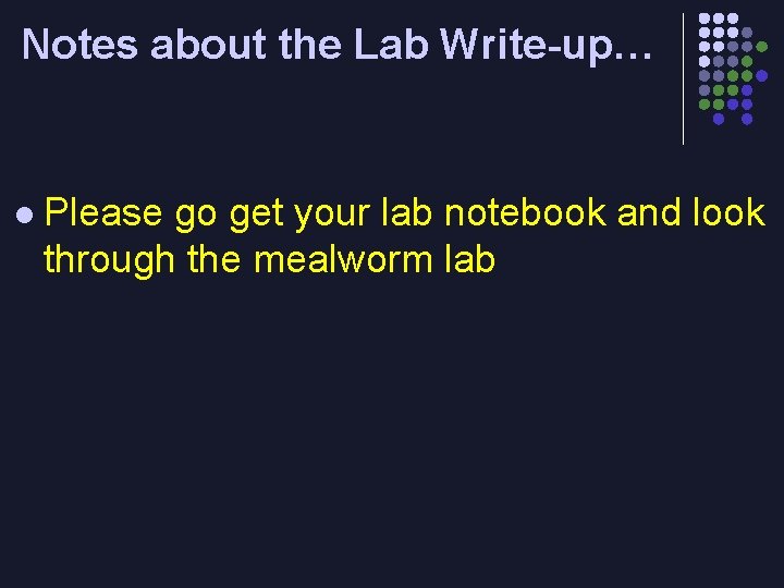 Notes about the Lab Write-up… l Please go get your lab notebook and look