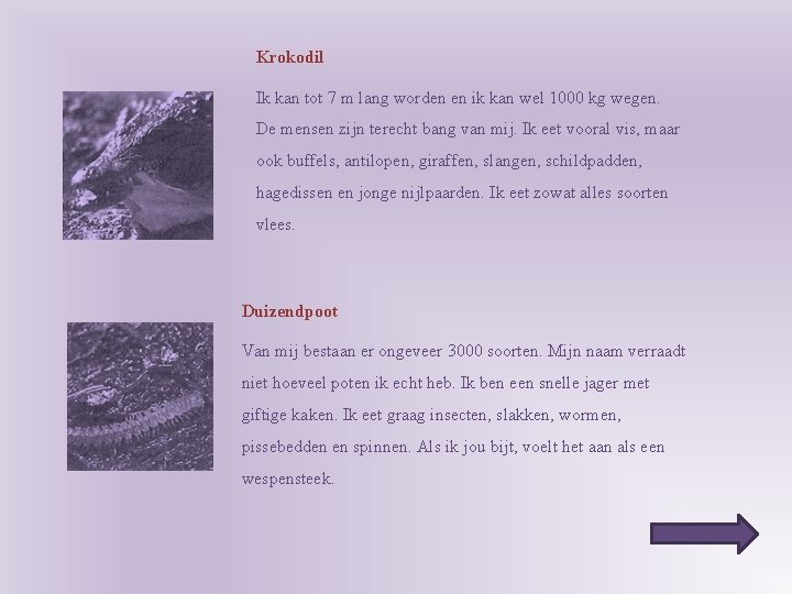 Krokodil Ik kan tot 7 m lang worden en ik kan wel 1000 kg