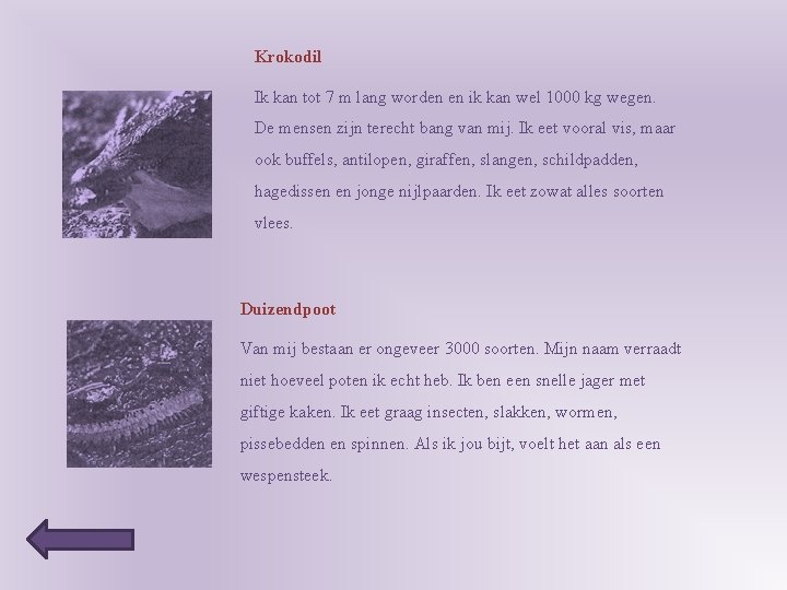 Krokodil Ik kan tot 7 m lang worden en ik kan wel 1000 kg