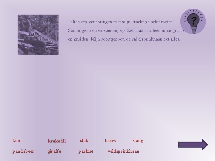 _____________ Ik kan erg ver springen met mijn krachtige achterpoten. Sommige mensen eten mij
