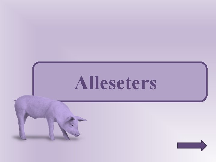 Alleseters 