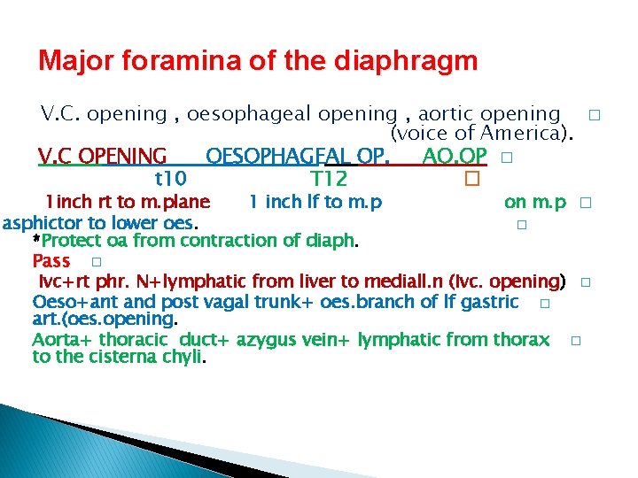 Major foramina of the diaphragm V. C. opening , oesophageal opening , aortic opening