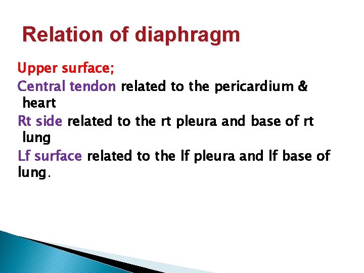 Relation of diaphragm Upper surface; Central tendon related to the pericardium & heart Rt