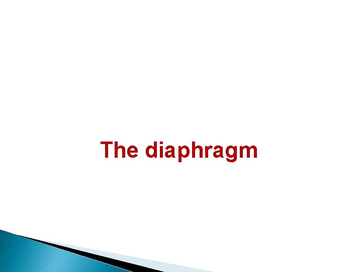 The diaphragm 