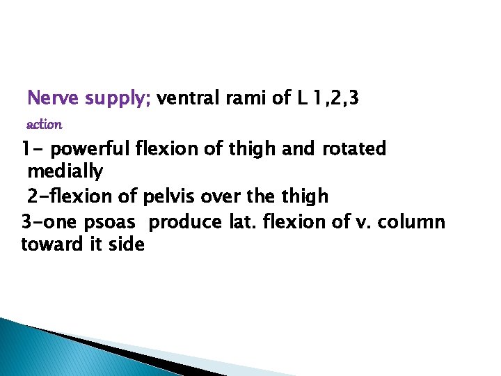 Nerve supply; ventral rami of L 1, 2, 3 action 1 - powerful flexion