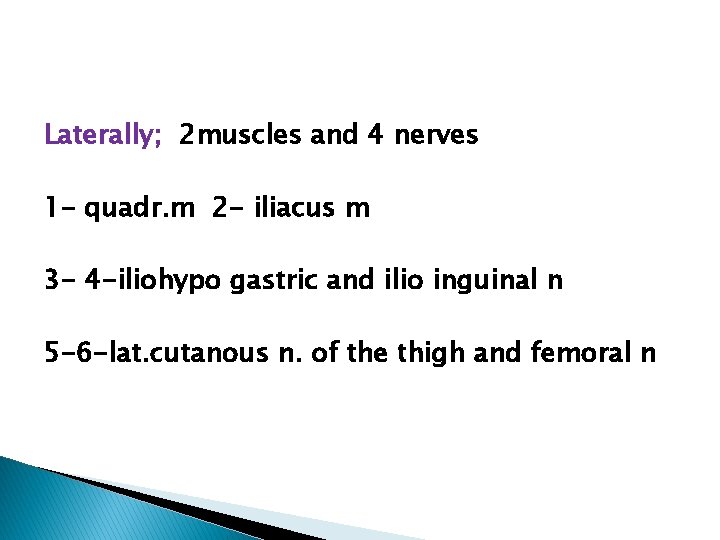 Laterally; 2 muscles and 4 nerves 1 - quadr. m 2 - iliacus m