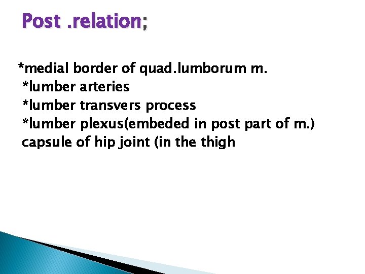Post. relation; *medial border of quad. lumborum m. *lumber arteries *lumber transvers process *lumber