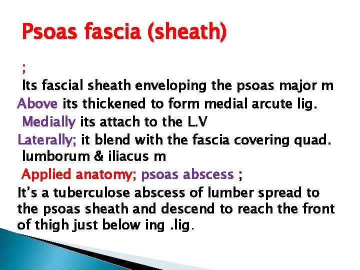 Psoas fascia (sheath) ; Its fascial sheath enveloping the psoas major m Above its
