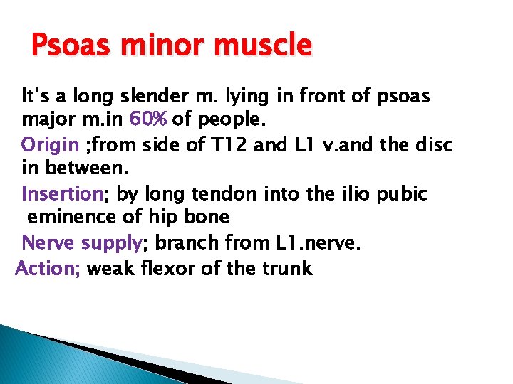 Psoas minor muscle It’s a long slender m. lying in front of psoas major