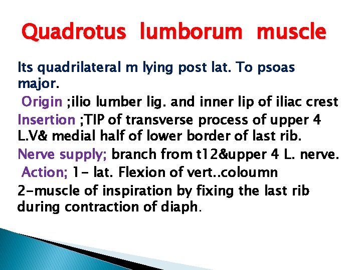 Quadrotus lumborum muscle Its quadrilateral m lying post lat. To psoas major. Origin ;