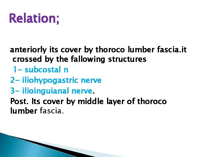 Relation; anteriorly its cover by thoroco lumber fascia. it crossed by the fallowing structures